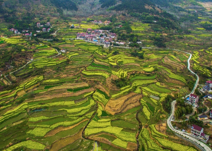陇西县现代农业特色产业发展问题及对策建议 陇西县现代农业特色产业发展问题及对策建议