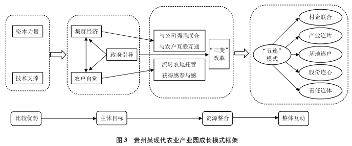 西南地区特色生态农业产业成长模式典型案例分析 西南地区特色生态农业产业成长模式典型案例分析