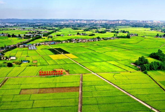 眉山市现代乡村产业发展的研究报告 眉山市现代乡村产业发展的研究报告