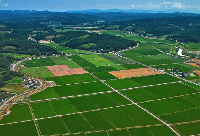 土地利用规划与乡村振兴战略探讨 土地利用规划与乡村振兴战略探讨