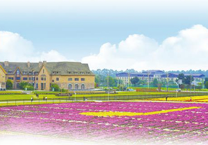 成都市产业园区高质量发展大会举行 成都市产业园区高质量发展大会举行