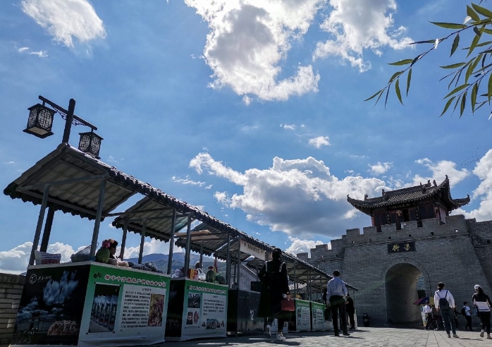 西北欠发达地区乡村产业振兴特征及问题——以榆中县浪街村村庄规划为例 西北欠发达地区乡村产业振兴特征及问题——以榆中县浪街村村庄规划为例