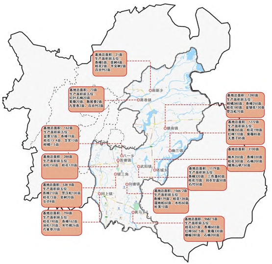 南昌县苗圃基地现状布局 南昌县苗圃基地现状布局