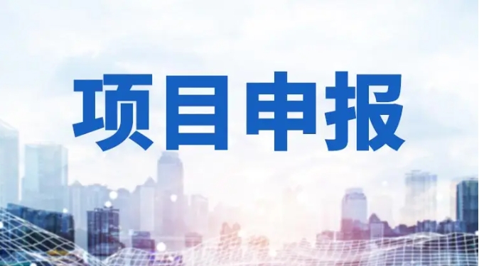 2025“两业”专项（制造业+服务业）中央预算内投资项目申报避坑指南