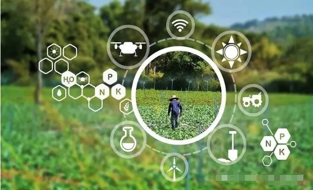 “十五五”视域下:数字农业赋能乡村振兴的策略与路径 “十五五”视域下:数字农业赋能乡村振兴的策略与路径