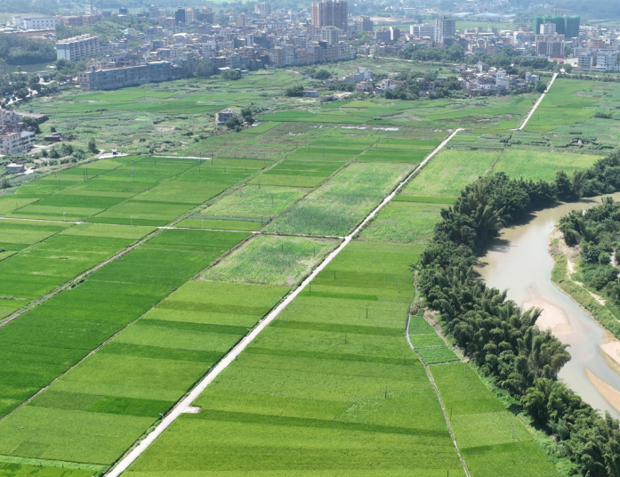 新政下全域土地综合整治的关键问题及解决路径