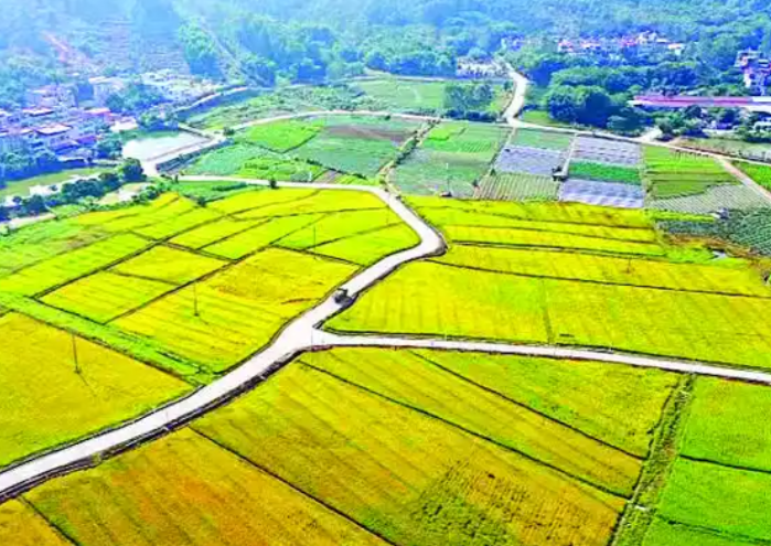 全域土地综合整治：空间、生态与产业的协同振兴之路