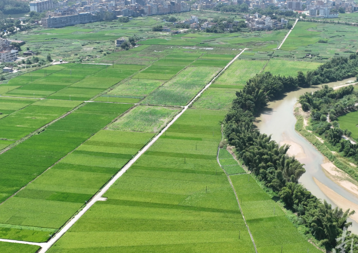 全域土地综合整治与城乡要素流动如何协同 全域土地综合整治与城乡要素流动如何协同