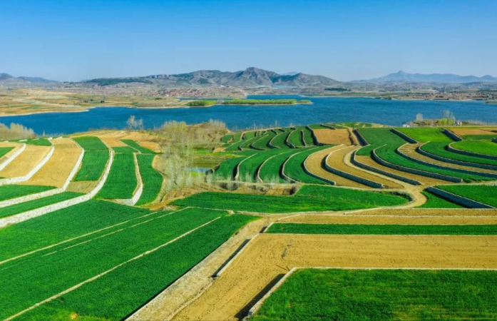 山东省全域土地综合整治的发展历程、现实挑战与系统优化路径 山东省全域土地综合整治的发展历程、现实挑战与系统优化路径