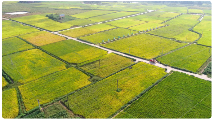 全域土地综合整治：土地权属调整实操指南